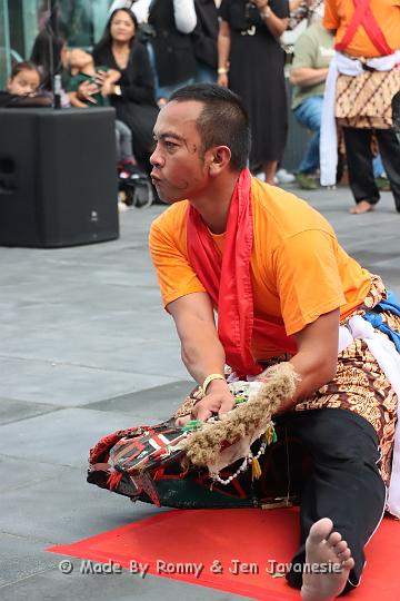 IMG_8224.JPG